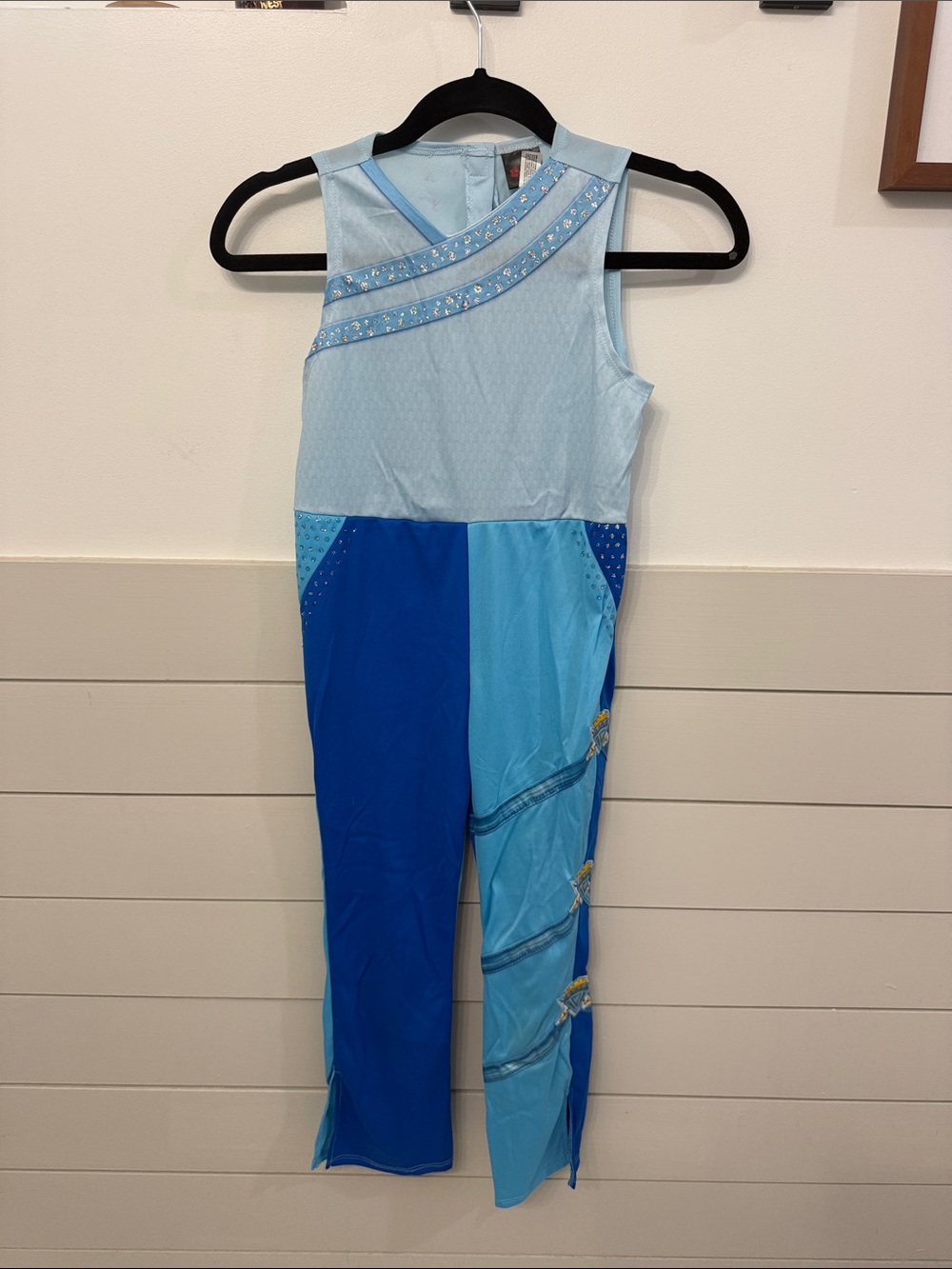 Disney’s Decedents Chloe Costume size Small